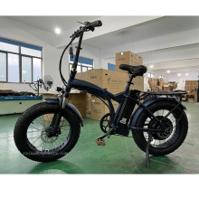 SD-002 New model electric bike fat tire 20Inch 1000W wheel E-bike/electric bicycle